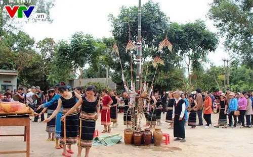 Lễ hội mừng lúa mới của người Raglai ở Khánh Hoà