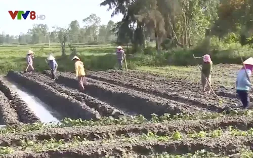 Nỗi sợ bị bỏ rơi của nông dân vùng dự án