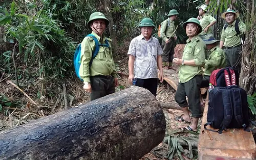Quảng Nam đình chỉ công tác 6 cán bộ kiểm lâm liên quan đến 2 vụ phá rừng