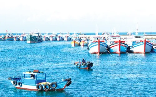 Cà Mau quyết tâm không để ngư dân vi phạm vùng biển nước ngoài