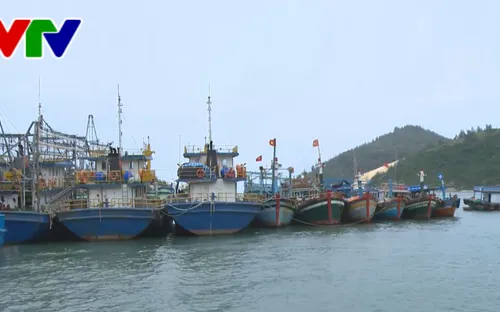 Bình Định: 41 chủ tàu vỏ thép nợ quá hạn trên 58 tỷ đồng