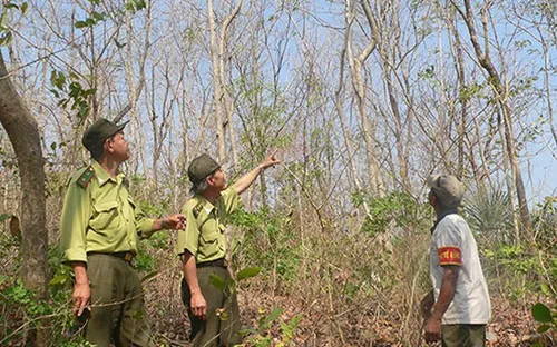 Khánh Hòa tăng cường phòng chống cháy rừng trong mùa khô