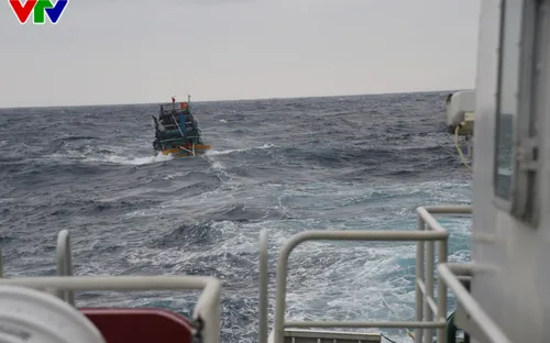 Tàu 365 Vùng 3 Hải quân cứu nạn tàu cá QNg 94635 TS