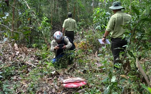 Kon Tum: Lâm tặc sử dụng vũ khí nóng, uy hiếp, đánh nhân viên bảo vệ rừng