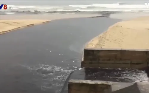 Đà Nẵng: Sau cơn mưa lớn, nước thải bốc mùi hôi thối lại tràn ra biển