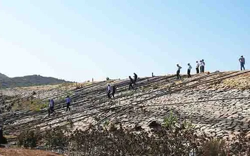 Bộ NN&PTNT kiểm tra tình hình hạn hán tại Ninh Thuận