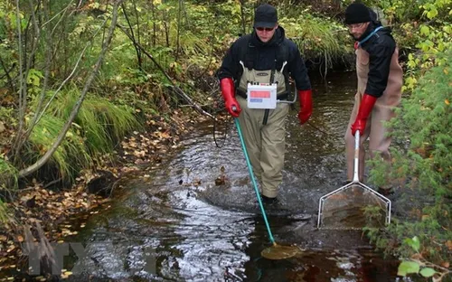 Rò rỉ hóa chất nghiêm trọng tại Phần Lan