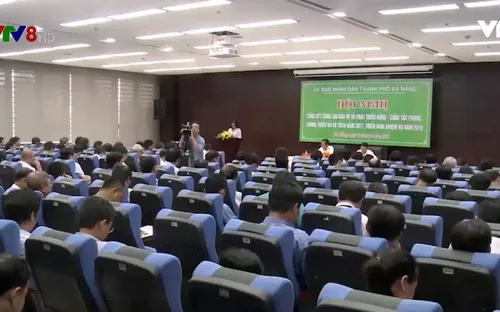 Đà Nẵng triển khai công tác phát triển rừng, ứng phó thiên tai tìm kiếm cứu nạn