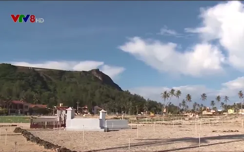 Quy tập mồ mả, chôn cất tập trung ở Lý Sơn