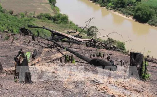 "Tan nát" Khu Bảo tồn thiên nhiên Nam Kar, Đắk Lắk