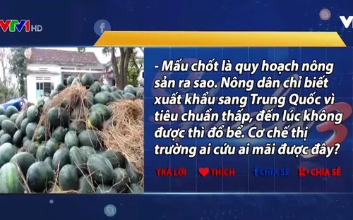 “Giải cứu” nông sản lại trở thành điệp khúc thường niên