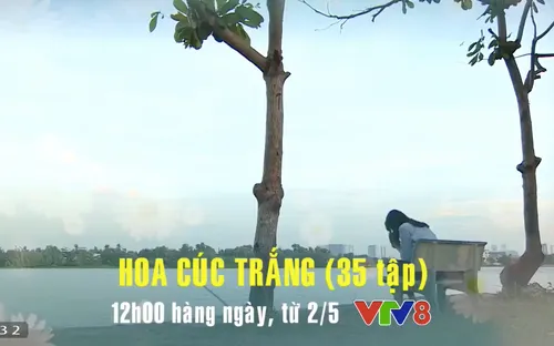 Phim truyện Việt Nam "Hoa cúc trắng" đang được phát sóng lúc 12h hàng ngày trên VTV8