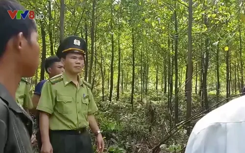 Quảng Trị phòng chống cháy rừng trong mùa nắng nóng kéo dài