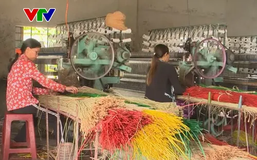 Phú Yên thiếu nguyên liệu sản xuất chiếu cói