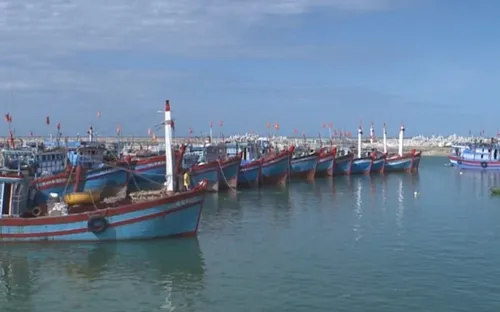 Đà Nẵng tăng cường truy xuất nguồn gốc thủy sản khai thác