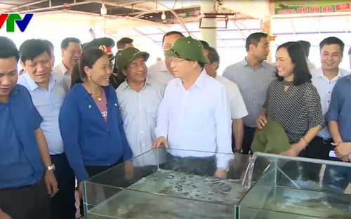 Phó Thủ tướng Trịnh Đình Dũng kiểm tra công tác bồi thường thiệt hại, hỗ trợ ngư dân Hà Tĩnh