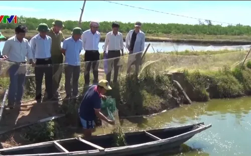 Đưa cán bộ nông nghiệp về cơ sở khắc phục sự cố môi trường