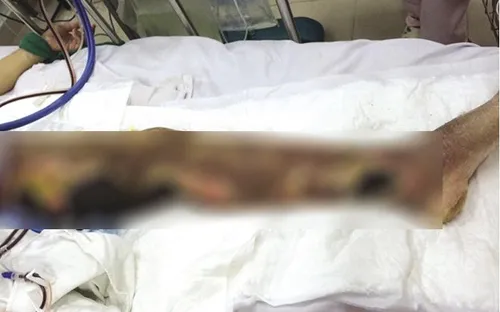 Nguy hại chữa bệnh qua mạng