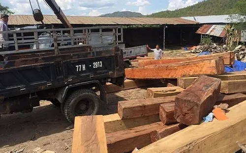 Gia Lai: Bắt khẩn cấp đối tượng mua bán, tàng trữ hơn 60 m3 gỗ không rõ nguồn gốc