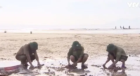 Phát động chiến dịch “Biển Việt Nam xanh” tại 5 tỉnh miền Trung