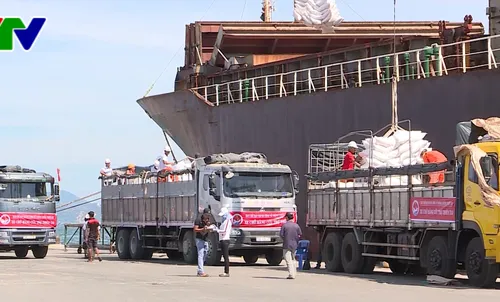 Hơn 30 tỷ đồng của các tổ chức phi chính phủ hỗ trợ người dân vùng bão Khánh Hòa