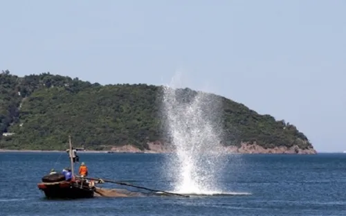 Ngăn chặn sử dụng mìn đánh bắt cá trái phép