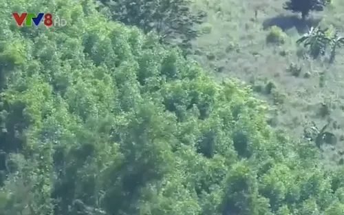 Kéo dài thiếu đất sản xuất vùng đồng bào thiểu số ở Khánh Hòa