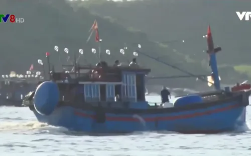 Quảng Ngãi: Hải sản bị tận diệt vì nạn đánh thuốc nổ trên biển