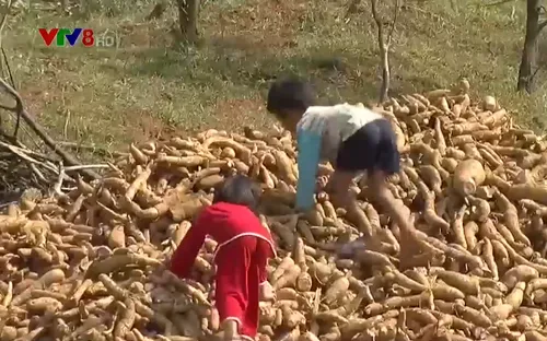 Ngày hè của trẻ em vùng cao