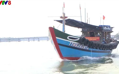 Tái tạo nguồn lợi thủy sản trên biển vùng ven biển Thừa Thiên Huế