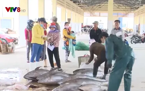 Bình Định tăng cường quản lý hoạt động khai thác hải sản