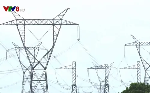 Quảng Trị bảo đảm an toàn hành lang lưới điện cao thế vào mùa nắng nóng