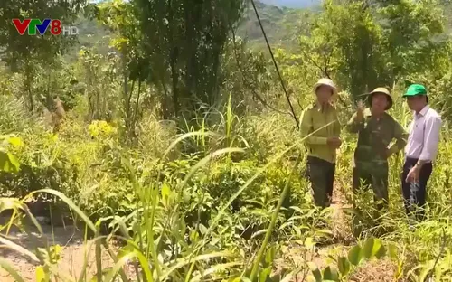 Quảng Nam: Khó bảo tồn di sản vì vướng mắc trong quản lý, bảo vệ rừng