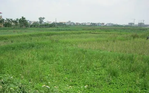 Hà Nội chuẩn bị đấu giá hàng trăm ha đất