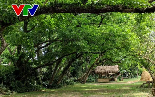 Quảng Nam đẩy mạnh phát triển du lịch sinh thái