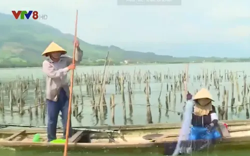 Người dân tham gia chống tội phạm trên đầm phá