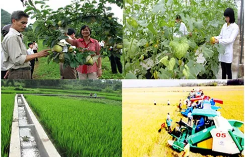 Phê duyệt Chương trình mỗi xã một sản phẩm giai đoạn 2018 - 2020