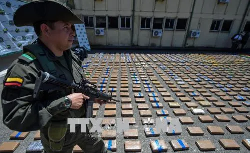 Colombia tịch thu 3,5 tấn cần sa