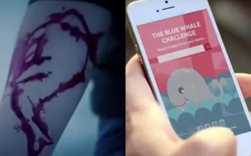 Tiền Giang: Chưa phát hiện học sinh tham gia "Thử thách Cá voi xanh"