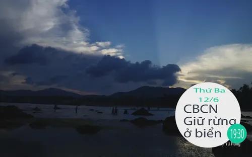 Chuyện biển chuyện người "Giữ rừng ở biển" (19h30 thứ Ba, 12/6) trên VTV8.