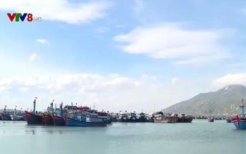 Tàu dịch vụ nằm bờ, ngư dân nợ chồng chất