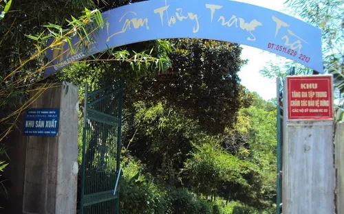 Nhất Lâm Thủy Trang Trà - chốn bình yên giữa lòng TP. Đà Nẵng