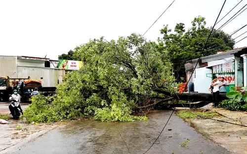 Mưa lớn, lốc xoáy gây nhiều thiệt hại tại Gia Lai và Quảng Bình