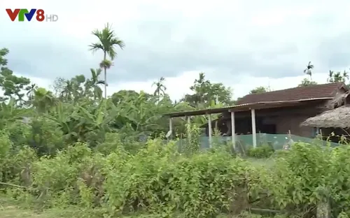 Cảnh báo tình trạng bán hàng kém chất lượng cho người dân