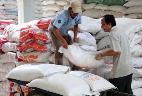 Chính phủ xuất cấp gạo cho tỉnh Kon Tum