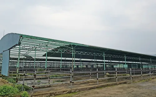 Hà Tĩnh: Khởi tố hai giám đốc chiếm đoạt 11 tỷ đồng từ dự án trại chăn nuôi bò