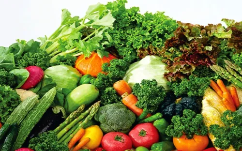 Lâm Đồng tăng thu hút đầu tư vào nông nghiệp