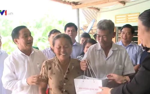 Phó Chủ tịch Quốc hội Tòng Thị Phóng thăm, tặng quà gia đình chính sách