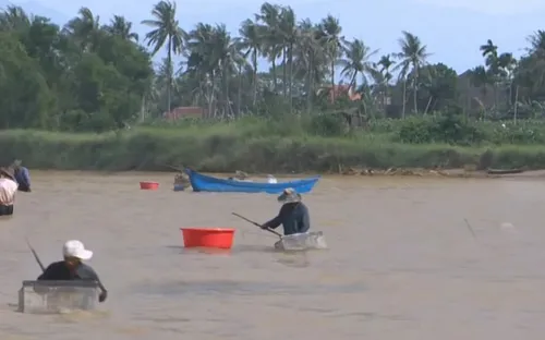 Phú Yên: Yên ả sông quê mùa "cào dắt"