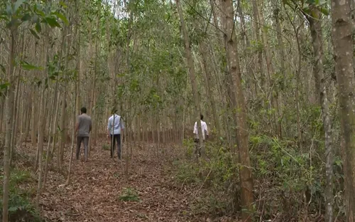 Quảng Nam: Người dân phản đối khai thác quặng tại Núi Mun